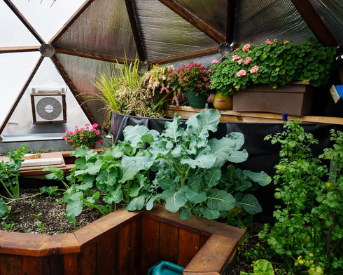 15' Growing Dome Small Greenhouse Kit